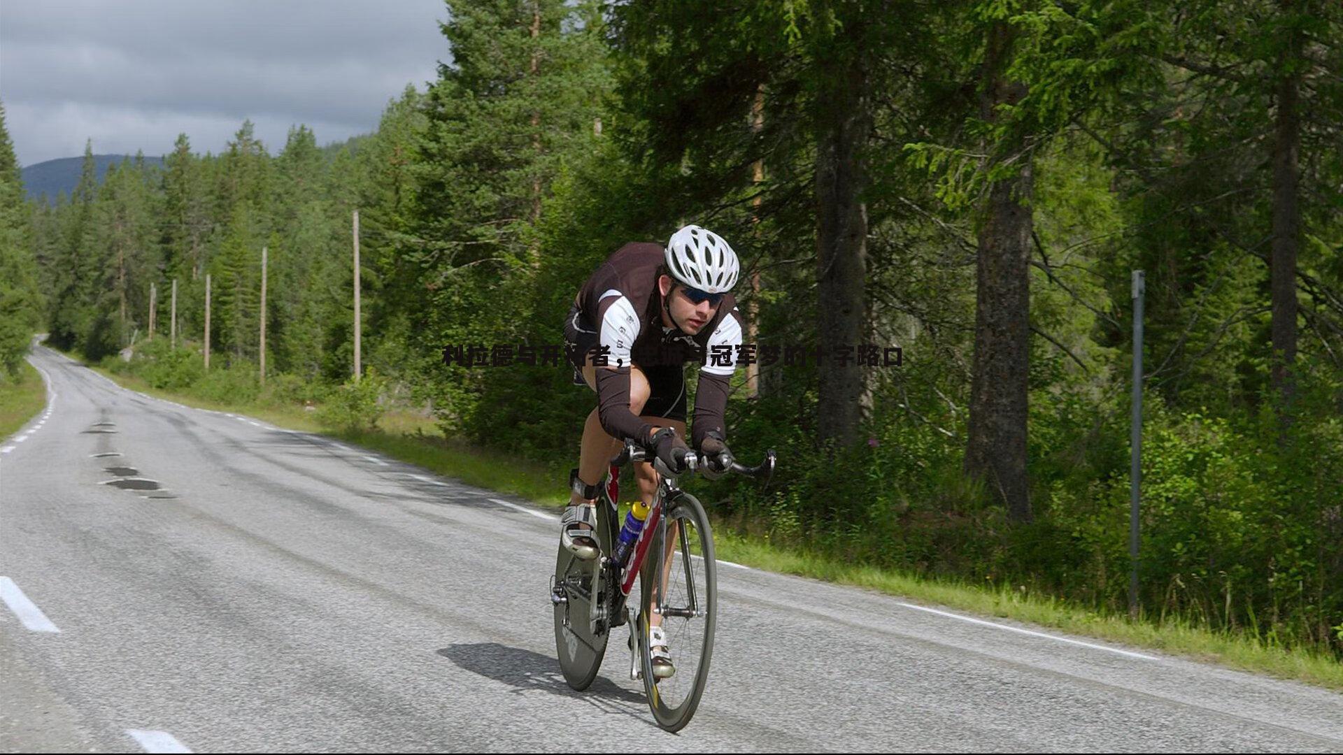 利拉德与开拓者,忠诚与冠军梦的十字路口